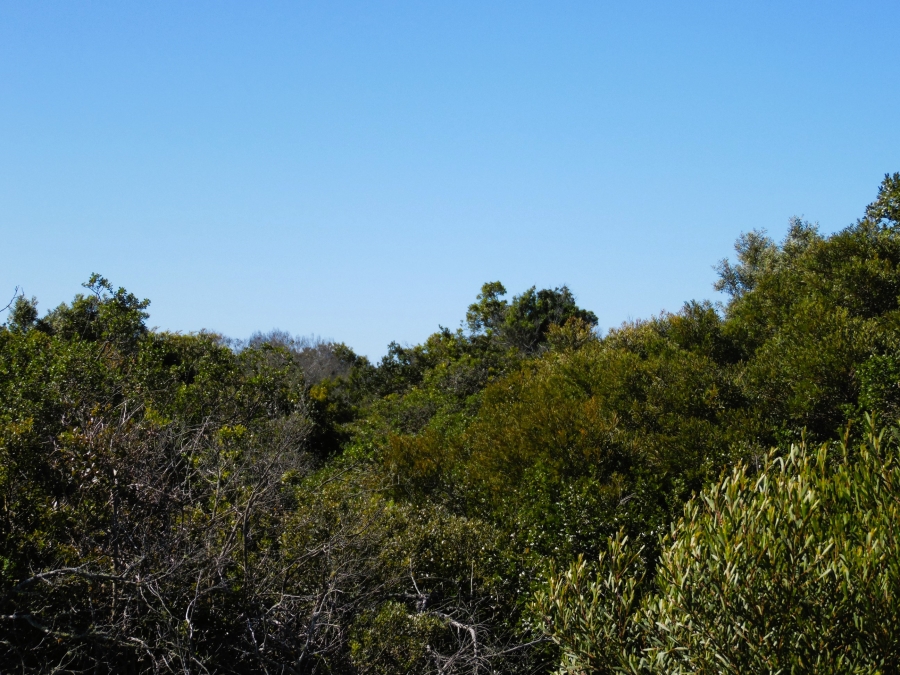 0 Bedroom Property for Sale in Paradise Beach Eastern Cape